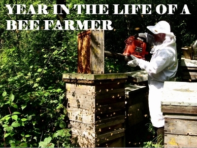 Year in the life of a bee farmer Powerpoint